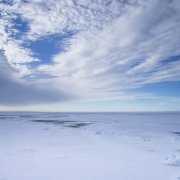 Photo: Adobe Stock