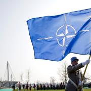 Photo: action press-Pool/Getty Images