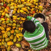 Photo: EDUARDO SOTERAS/AFP/Getty Images