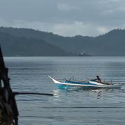 Photo: Dondi Tawatao/Getty Images