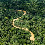 Photo: Jody Amiet/AFP/Getty Images