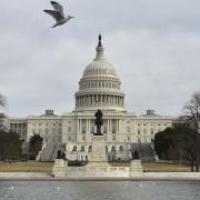 Photo: Mandel Ngan/AFP/Getty Images