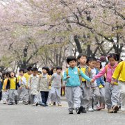 Photo: JUNG YEON-JE/AFP/Getty Images