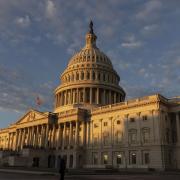 Photo: Alex Edelman/Getty Images