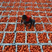 Photo: SHAMMI MEHRA/AFP/Getty Images