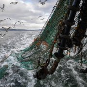 Photo: Jeff J Mitchell/Getty Images