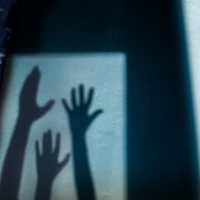 Photo: Adobe Stock