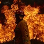 Photo: Brett Hemmings/Getty Images