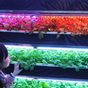 Photo: STR/AFP via Getty Images