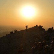 Photo: NOORULLAH SHIRZADA/AFP via Getty Images