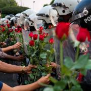 Photo: Getty Images/Getty Images