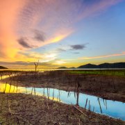 Photo: Idanupong/Adobestock