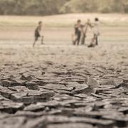 Photo: aedkafl/Adobe Stock