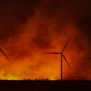 Photo: HealeyPhoto/Adobe Stock