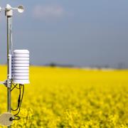 Photo: LUKASPUCHRIK/Adobe Stock