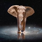 Photo: muratart/Adobe Stock