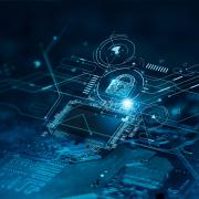 Photo: Adobestock