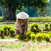 Photo: Adobestock