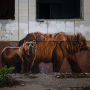 Photo: DIMITAR DILKOFF/AFP/Getty Images