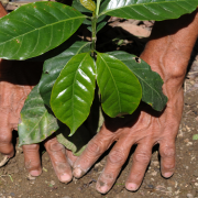Photo: ORLANDO SIERRA/AFP/Getty Images