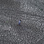 Photo: Sanjay Kanojia/AFP via Getty Images