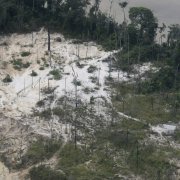 Photo: FEDERICO PARRA/AFP via Getty Images