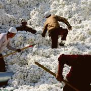 Photo: Guang Niu/Getty Images