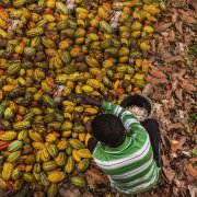 Photo: Eduardo Sotera/AFP/Getty Images