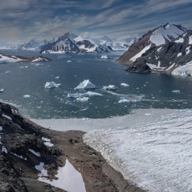 Photo: Sebnem Coskun/Anadolu/Getty Images