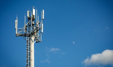 Photo: LariBat/Adobe Stock