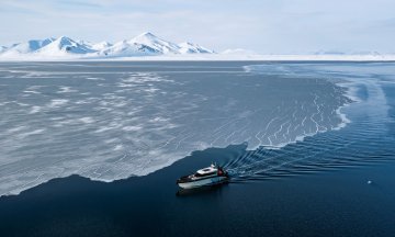 Photo: JONATHAN NACKSTRAND/AFP via Getty Images