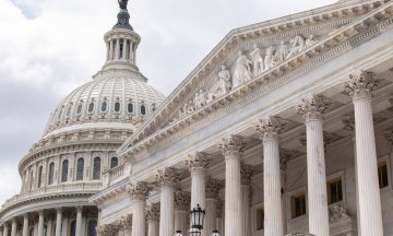Photo: Anna Rose Layden/Getty Images