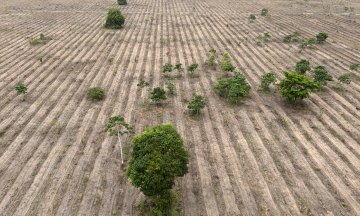 Photo: PABLO PORCIUNCULA/AFP/Getty Images