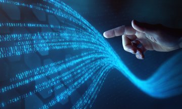 Photo: NicoElNino/Adobe Stock