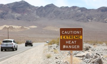 Photo: RONDA CHURCHILL/AFP via Getty Images