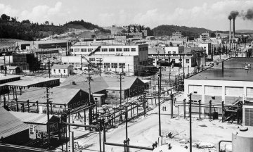 Photo: Bettmann / Contributor/Getty Images