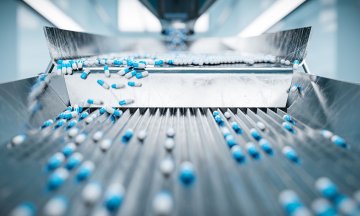 Photo: guteksk7/Adobe Stock