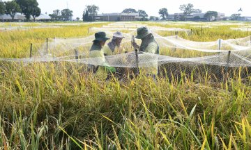 Photo: TED ALJIBE/AFP via Getty Images