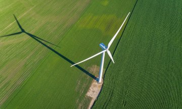 Photo: marchello74/Adobe Stock
