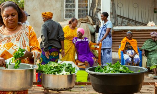 A lady chopping up spinach into pots