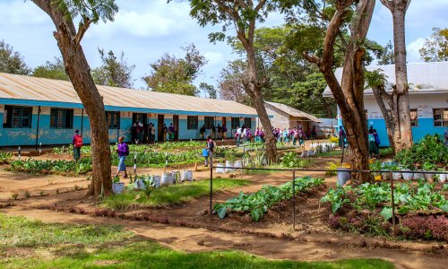 School with gardens in between buildings