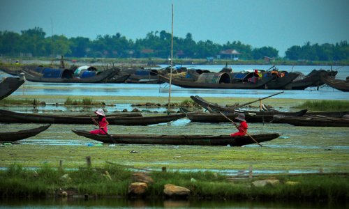  Long wooden canoes in wate