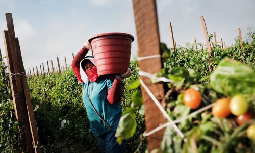 Photo: Spencer Platt/Getty Images