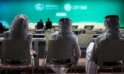 Participants at COP28