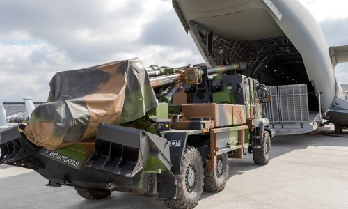 Photo: VanderWolf Images/Adobe Stock