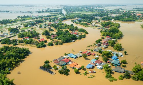 Photo: thianchai sitthikongsak/GETTY IMAGES