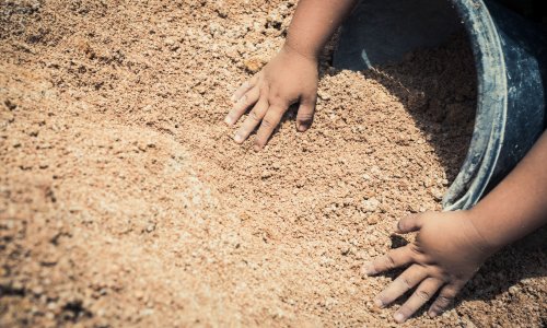 Photo: artit/Adobe Stock