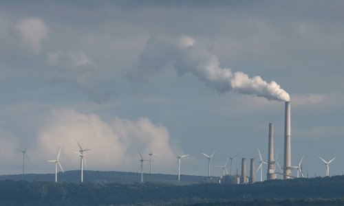 Photo: Chip Somodevilla/Getty Images