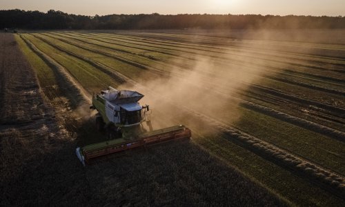 Photo: Ed Ram/Getty Images