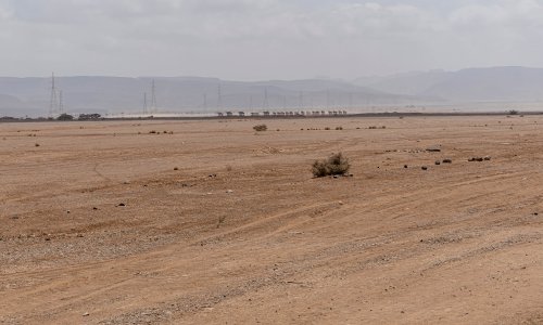 Photo: Torsten Pursche via Adobe Stock